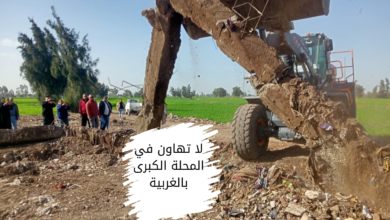 شهد مركز المحلة الكبرى بمحافظة الغربية اليوم الجمعة 16-1-2026، سلسلة من الحملات الصباحية والمسائية المكثفة