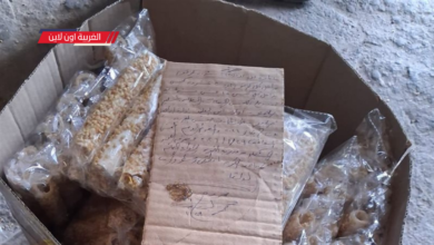 تموين الغربية يوجه ضربة قوية لمصانع "تحت السلم" بمركز طنطا.. التحفظ على 8 آلاف قطعة حلوى 10 ضبط عسلية فاسدة داخل مصنع بطنطا