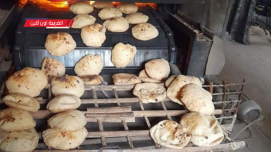 صورة تعبيرية لحملة تفتيش من مديرية التموين بالغربية داخل أحد مخابز مدينة السنطة للتأكد من وزن رغيف الخبز.