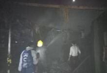 عاجل.. حريق مزرعة دواجن في الغربية يلتهم 500 كتكوت بقرية سامول 8 حريق مزرعة دواجن في الغربية فى قريه سامول طنطا