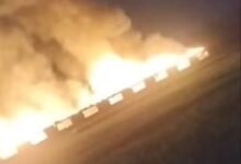 نيران عزبة العوايسة.. السيطرة على حريق مزرعة دواجن بطنطا ونفوق 1200 كتكوت