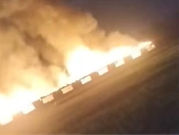 نيران عزبة العوايسة.. السيطرة على حريق مزرعة دواجن بطنطا ونفوق 1200 كتكوت 8 نيران عزبة العوايسة.. السيطرة على حريق مزرعة دواجن بطنطا ونفوق 1200 كتكوت