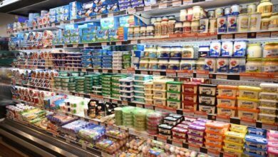 اسعار السلع في الغربية قبل رمضان داخل أسواق طنطا والمحلة