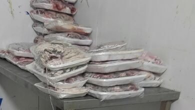 تموين الغربية يداهم مطاعم طنطا: ضبط 100 كجم لحوم منتهية الصلاحية 3 تموين الغربية يداهم مطاعم طنطا: ضبط 100 كجم لحوم منتهية الصلاحية