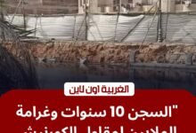 جنايات طنطا تسجن مقاول "الكورنيش" 10 سنوات وتلزمه برد 5 ملايين جنيه