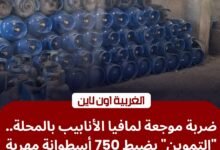 شطب مستودعات وضبط 865 أنبوبة.. محافظ الغربية يضرب "مافيا" أسطوانات