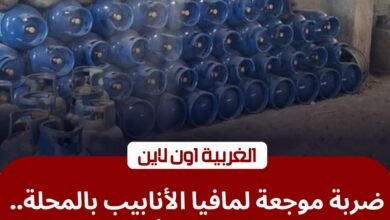 شطب مستودعات وضبط 865 أنبوبة.. محافظ الغربية يضرب "مافيا" أسطوانات