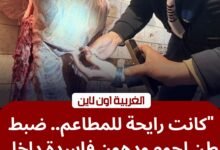 ضربة موجعة لمافيا "السلخانات".. ضبط لحوم فاسدة في طنطا قبل توزيعها على المطاعم