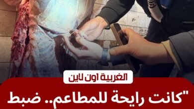 ضربة موجعة لمافيا "السلخانات".. ضبط لحوم فاسدة في طنطا قبل توزيعها على المطاعم