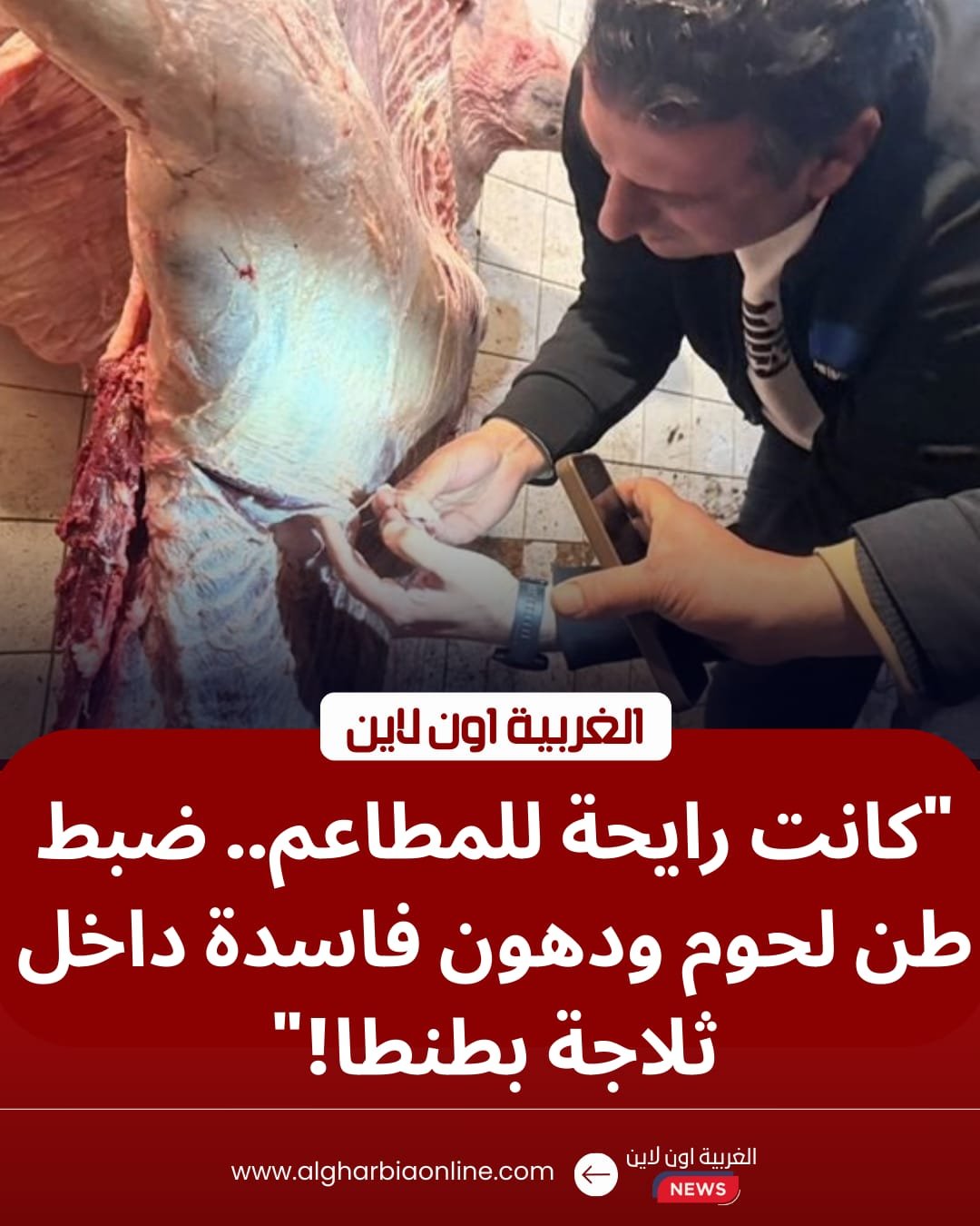 ضربة موجعة لمافيا "السلخانات".. ضبط لحوم فاسدة في طنطا قبل توزيعها على المطاعم