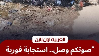 استجابة لـ "السوشيال ميديا".. محافظ الغربية يوجه بتطهير مدخل المحلة الكبرى