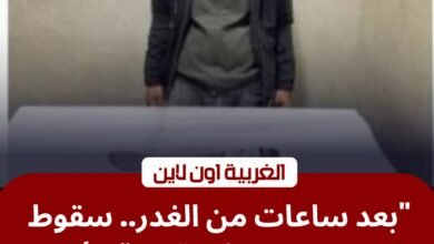 بسبب خلافات قضائية.. أمن الغربية يضبط المتهم بطعن طليقته في طنطا