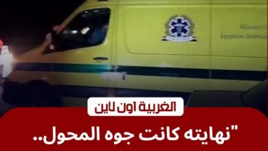 مصرع "لص الكابلات" صعقاً داخل محول بالمنطقة الصناعية بالمحلة الكبرى 3 مصرع "لص الكابلات" صعقاً داخل محول بالمنطقة الصناعية بالمحلة الكبرى