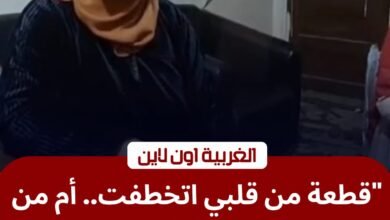 استغاثة بقلب طنطا.. صرخة أم "مكلومة" بعد خطف طفلتها والتعدي عليها 2 استغاثة بقلب طنطا.. صرخة أم "مكلومة" بعد خطف طفلتها والتعدي عليها