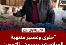 أسواق الغربية.. حملة "بسيون" تضرب تجار السلع الفاسدة وتغلق مصنعاً غير مرخص