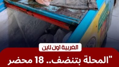 تحرير 18 محضراً في حملة مكبرة على أسواق المحلة الكبرى