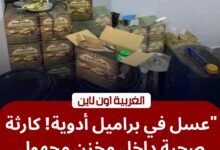 ضربة موجعة لمافيا "بير السلم".. ضبط طحينة وعسل فاسد في محافظة الغربية