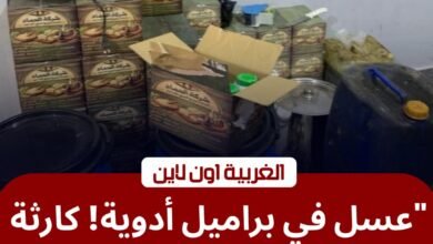 ضربة موجعة لمافيا "بير السلم".. ضبط طحينة وعسل فاسد في محافظة الغربية