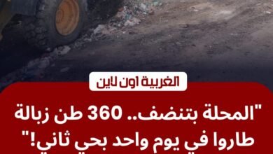 زحف المعدات الثقيلة لتطهير حي ثاني المحلة.. رفع 360 طن مخلفات في 24 ساعة