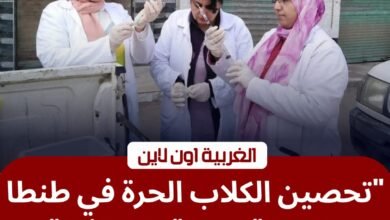 لحماية المواطنين.. "الطب البيطري بالغربية" يطلق حملات مكبرة لتحصين الكلاب الحرة بطنطا والمحلة