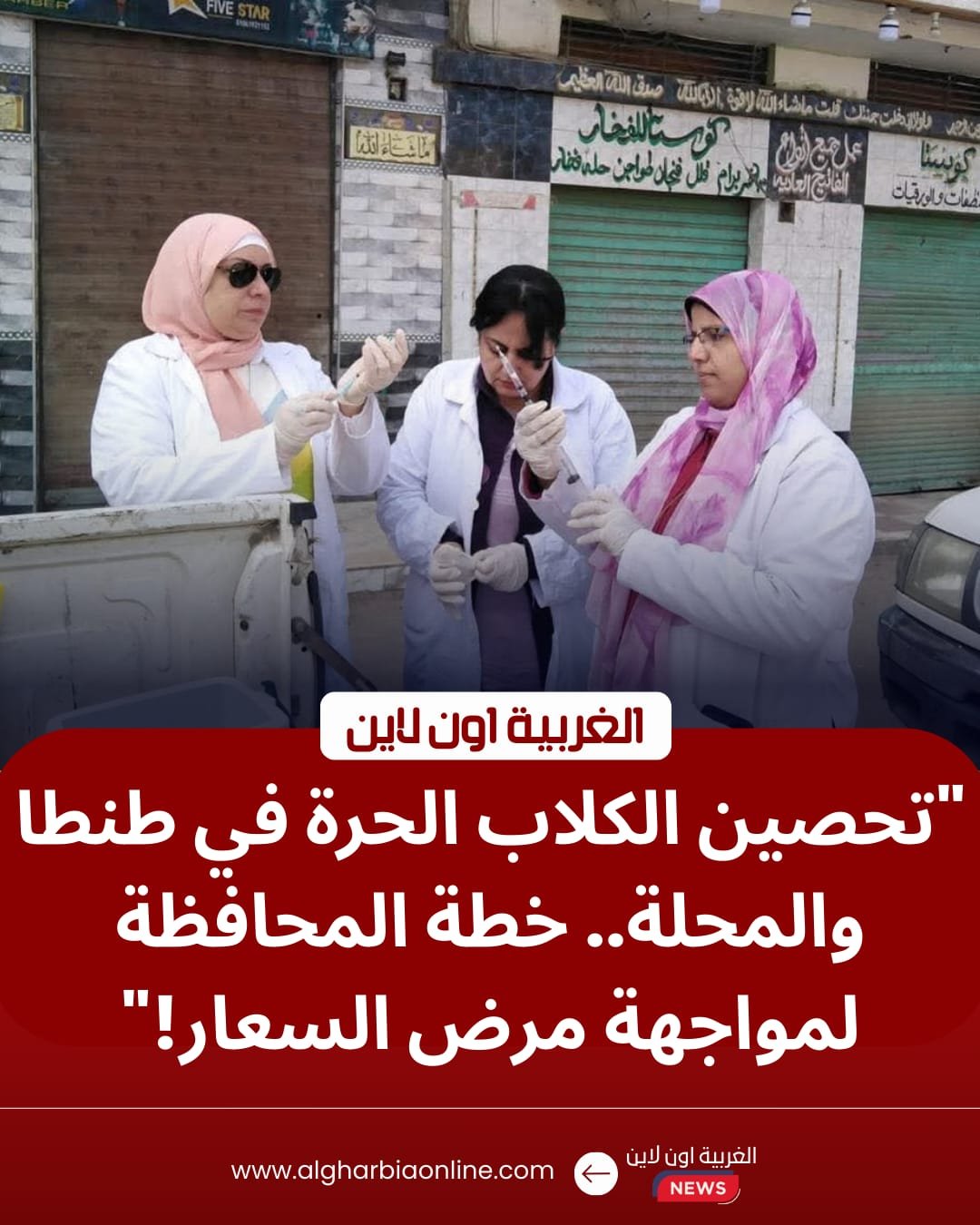 لحماية المواطنين.. "الطب البيطري بالغربية" يطلق حملات مكبرة لتحصين الكلاب الحرة بطنطا والمحلة