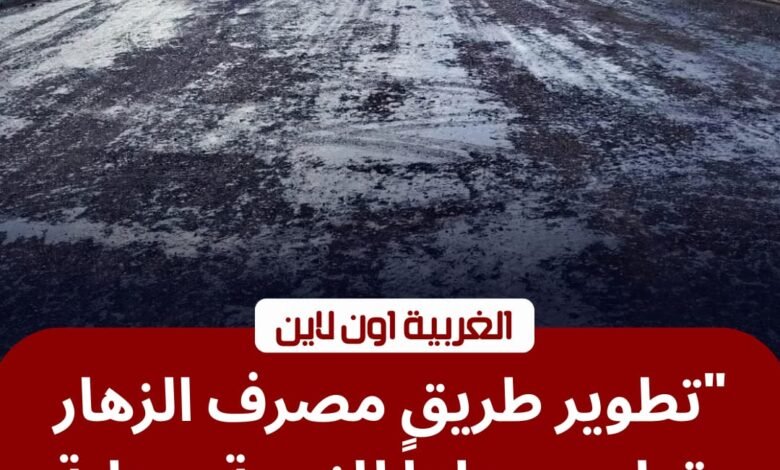 لإنهاء الزحام.. بدء رصف طريق مصرف الزهار بقطور بتوجيهات محافظ الغربية 1 لإنهاء الزحام.. بدء رصف طريق مصرف الزهار بقطور بتوجيهات محافظ الغربية