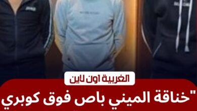 خناقة الميني باص".. أمن الغربية يضبط المتورطين في واقعة "كوبري المحطة" بطنطا
