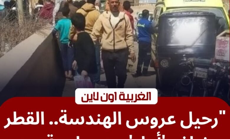 مأساة في الدلجمون.. مصرع طالبة "هندسة" أسفل عجلات قطار كفر الزيات 1 مأساة في الدلجمون.. مصرع طالبة "هندسة" أسفل عجلات قطار كفر الزيات