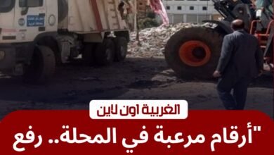 ​رفع 3320 طن تراكمات في حملة مكبرة بـ «حي ثان المحلة»