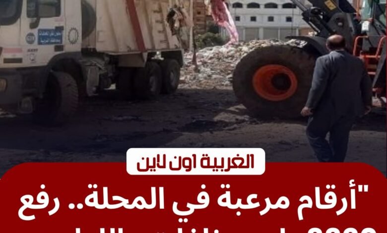 رفع 3320 طن تراكمات في حملة مكبرة بـ «حي ثان المحلة» 1 رفع 3320 طن تراكمات في حملة مكبرة بـ «حي ثان المحلة»