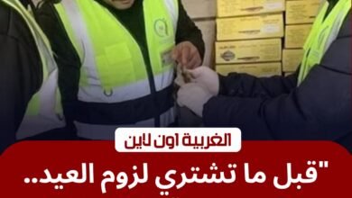 قبل عيد الفطر.. "سلامة الغذاء" تضبط طن رنجة فاسدة داخل مخزن بميدان المحطة في طنطا 3 قبل عيد الفطر.. "سلامة الغذاء" تضبط طن رنجة فاسدة داخل مخزن بميدان المحطة في طنطا