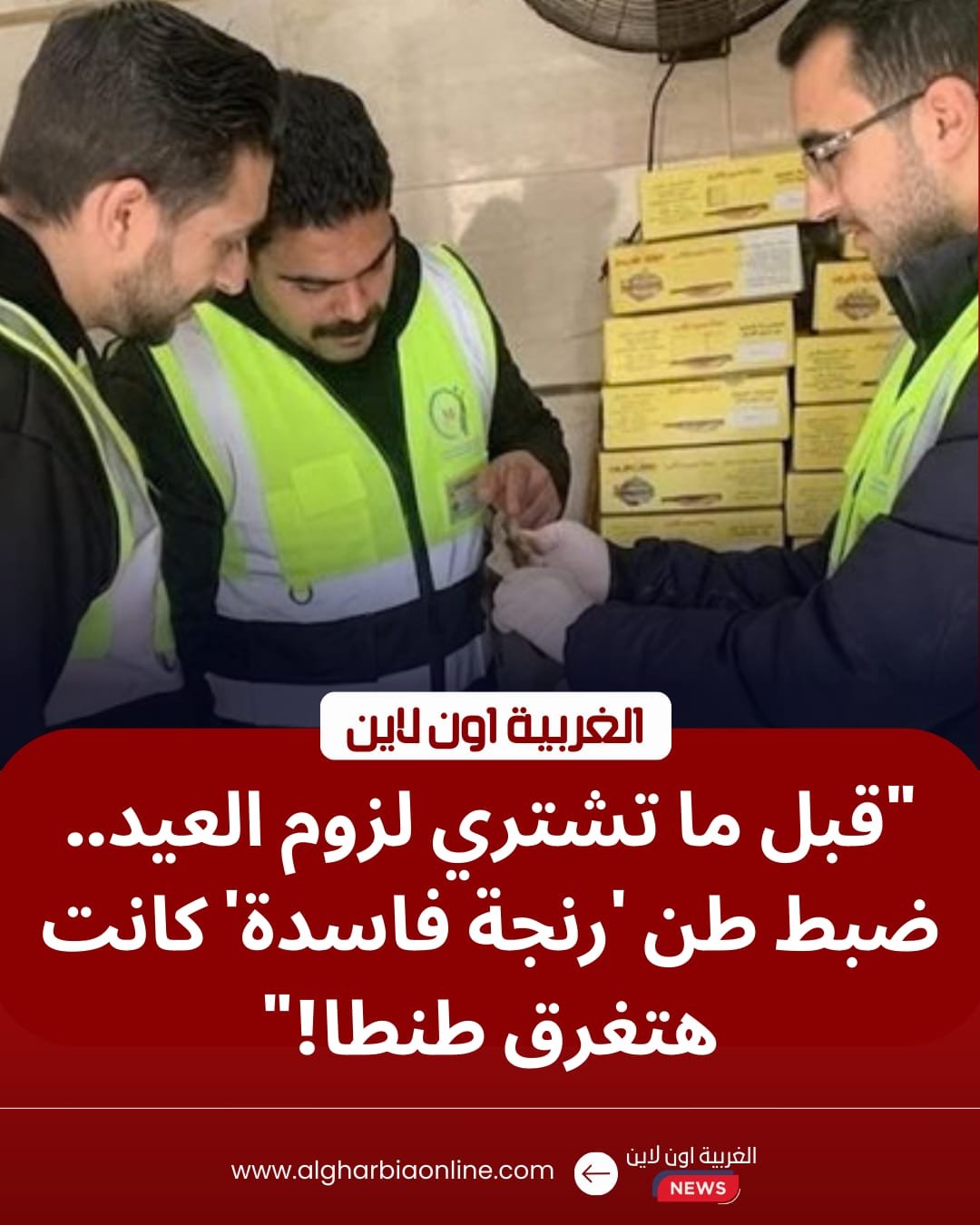 قبل عيد الفطر.. "سلامة الغذاء" تضبط طن رنجة فاسدة داخل مخزن بميدان المحطة في طنطا 8 قبل عيد الفطر.. "سلامة الغذاء" تضبط طن رنجة فاسدة داخل مخزن بميدان المحطة في طنطا