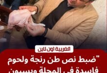 قبل عيد الفطر.. ضبط 604 كجم لحوم ودواجن فاسدة في حملات مكبرة بمراكز الغربية