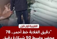 ضبط 50 شيكارة دقيق و78 محضراً بمخابز طنطا والمحلة في أول أيام العيد