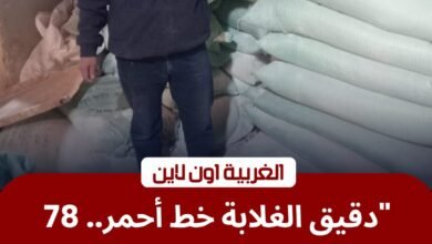 ضبط 50 شيكارة دقيق و78 محضراً بمخابز طنطا والمحلة في أول أيام العيد