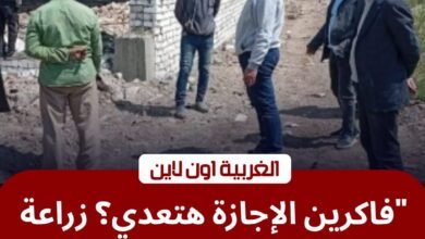 ​زراعة الغربية تزلزل معاقل "مباني البلوك" بالمحلة وقطور في رابع أيام العيد