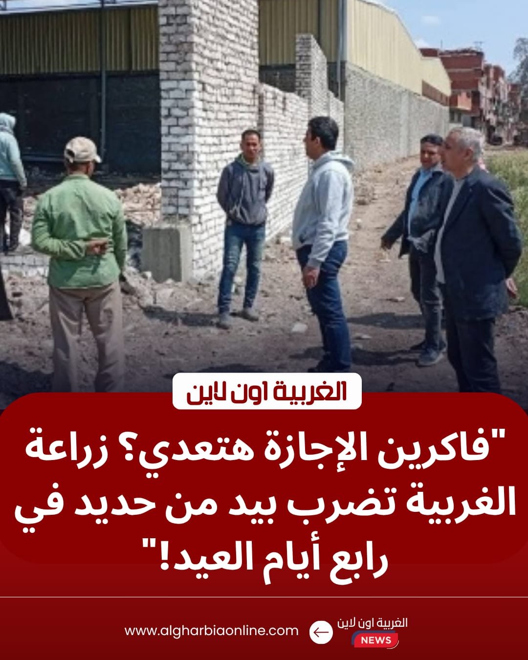 ​زراعة الغربية تزلزل معاقل "مباني البلوك" بالمحلة وقطور في رابع أيام العيد