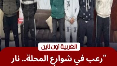 "المولوتوف" يشعل شارعاً بالمحلة.. كشف كواليس مشاجرة "ثان المحلة" العنيفة 2 "المولوتوف" يشعل شارعاً بالمحلة.. كشف كواليس مشاجرة "ثان المحلة" العنيفة