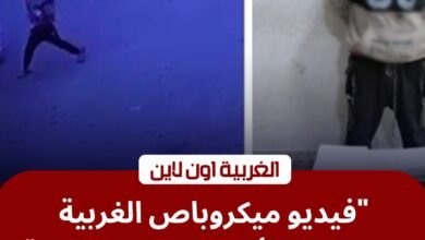 مهتز نفسياً".. أمن الغربية يضبط محطم "ميكروباص" في مركز طنطا 4 مهتز نفسياً".. أمن الغربية يضبط محطم "ميكروباص" في مركز طنطا