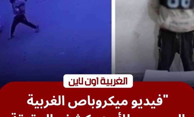 مهتز نفسياً".. أمن الغربية يضبط محطم "ميكروباص" في مركز طنطا 1 مهتز نفسياً".. أمن الغربية يضبط محطم "ميكروباص" في مركز طنطا