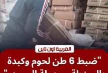 ​تموين الغربية يضرب "مافيا اللحوم" بالسنطة.. ضبط 5 أطنان كبدة مجهولة المصدر