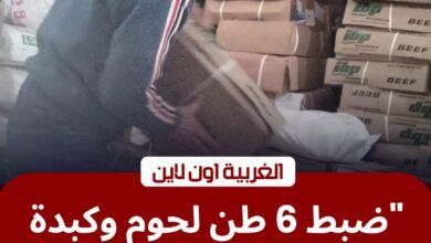 ​تموين الغربية يضرب "مافيا اللحوم" بالسنطة.. ضبط 5 أطنان كبدة مجهولة المصدر