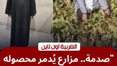 كذب ونكاية في الأقارب.. "الداخلية" تكشف زيف فيديو إتلاف محصول بمبيدات حشرية في كفر الشيخ