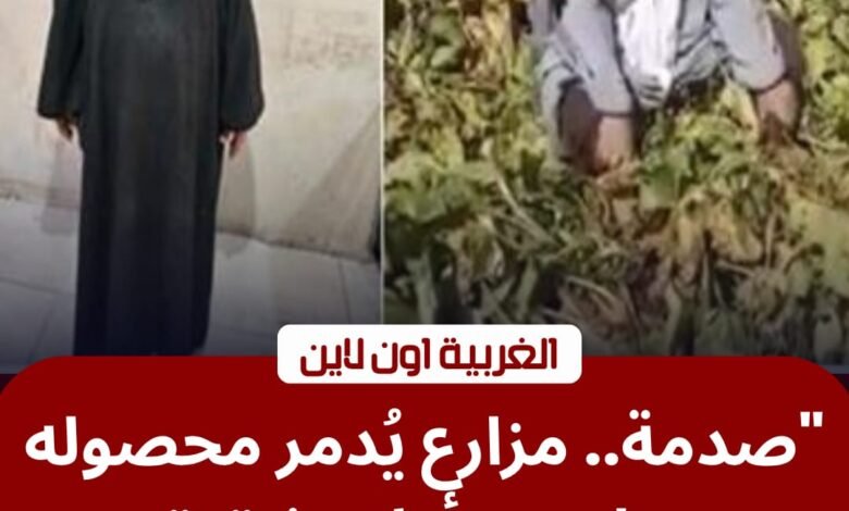 كذب ونكاية في الأقارب.. "الداخلية" تكشف زيف فيديو إتلاف محصول بمبيدات حشرية في كفر الشيخ 1 كذب ونكاية في الأقارب.. "الداخلية" تكشف زيف فيديو إتلاف محصول بمبيدات حشرية في كفر الشيخ