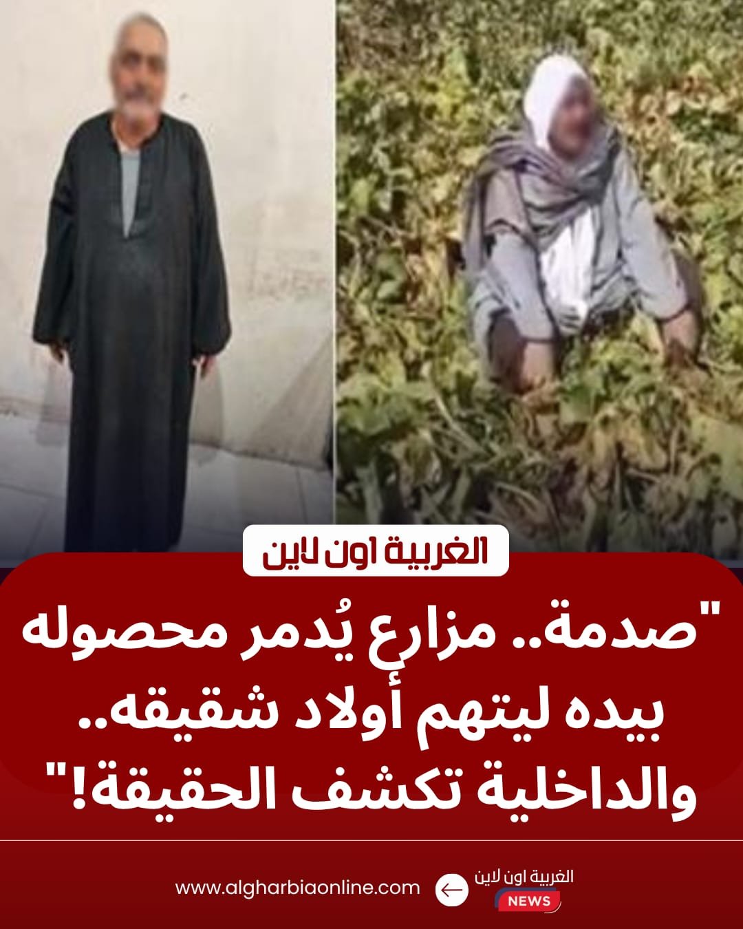 كذب ونكاية في الأقارب.. "الداخلية" تكشف زيف فيديو إتلاف محصول بمبيدات حشرية في كفر الشيخ 8 كذب ونكاية في الأقارب.. "الداخلية" تكشف زيف فيديو إتلاف محصول بمبيدات حشرية في كفر الشيخ