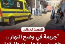 دماء في "ميدان البندر بالمحلة".. مسجل يطعن طليقته وسط المارة والأمن يتدخل