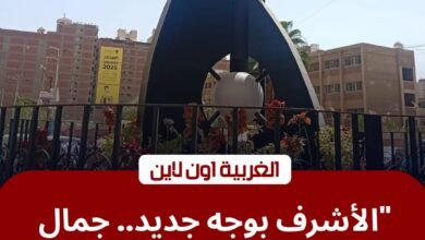 محافظ الغربية يوجه برفع كفاءة منطقة الأشرف بحي ثان طنطا