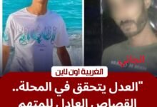 جنايات المحلة تعاقب "أيمن الجمل" بالسجن المؤبد لقتله صاحب مصنع بقرية محلة حسن