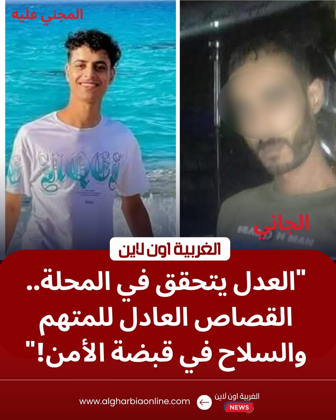 جنايات المحلة تعاقب "أيمن الجمل" بالسجن المؤبد لقتله صاحب مصنع بقرية محلة حسن