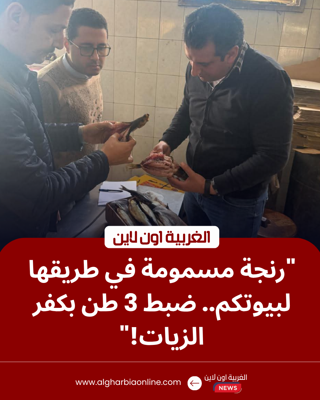 ضبط 3 طن رنجة فاسدة في كفر الزيات.. محافظ الغربية يضرب بيد من حديد 8 ضبط رنجة فاسدة في كفر الزيات بمحافظة الغربية